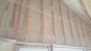 100 Cellulous Prep (2)